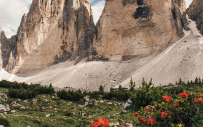 TRENTINO ALTO ADIGE & SOUTH TYROL