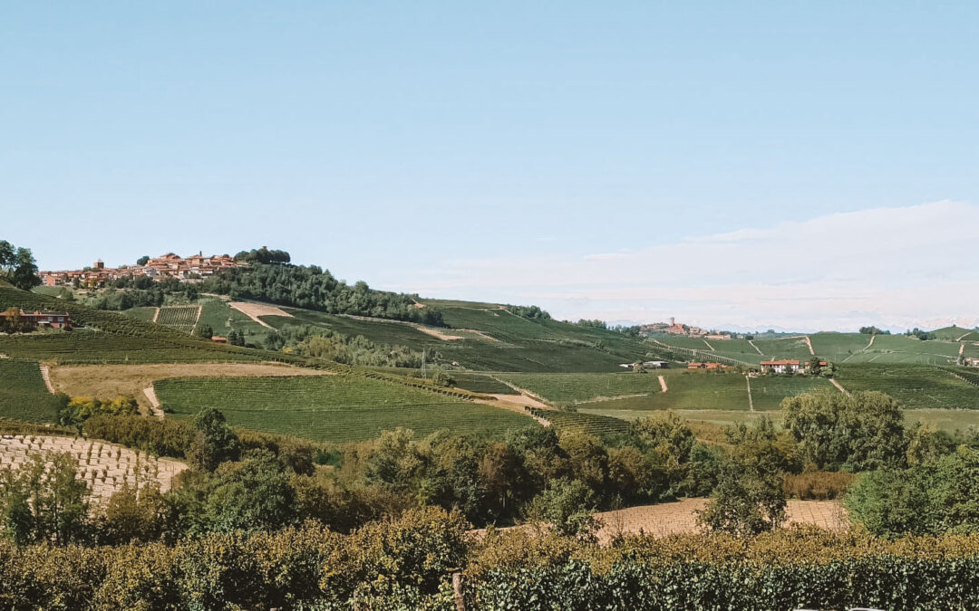 PIEMONTE